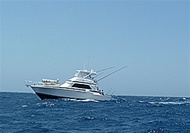 Private Snorkeling and Yacht Tour in Curacao (Caracas Bay)