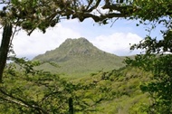 Jeep National Safari Park Chirstoffel Curacao (San Pedro Heights, Witch Craft Cave)