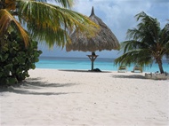 Jeep Safari Offroad 4x4 and Snorkel Cas Abao Beach in Curacao