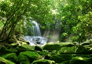 Rainforest Jeep Tour in Rio de Janeiro (Tijuca, Cachoeira dos Macacos)